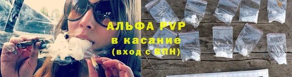 молекула духа Гусев