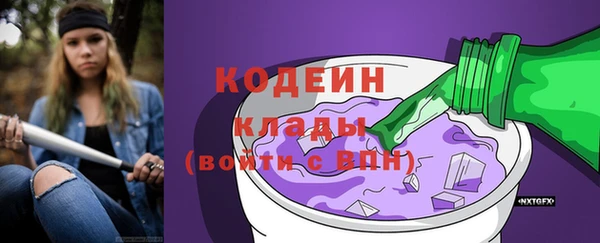 гашик Гусь-Хрустальный