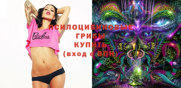 хмурый Гусиноозёрск