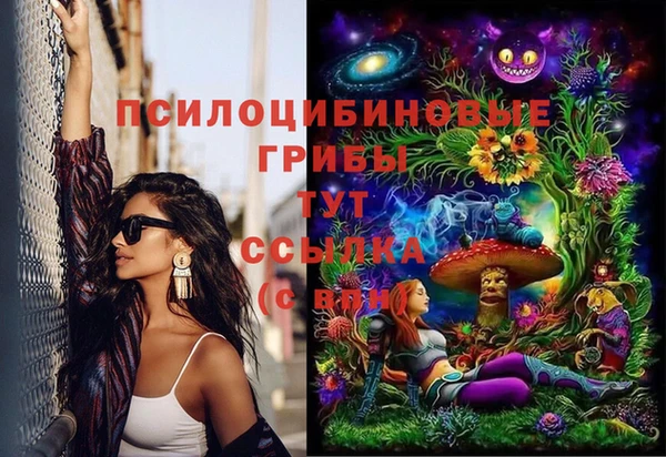 гашик Гусь-Хрустальный