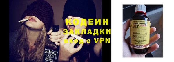 гашик Гусь-Хрустальный
