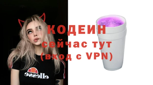 молекула духа Гусев