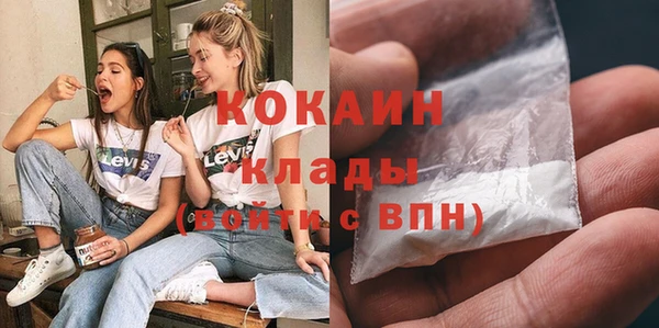 гашик Гусь-Хрустальный