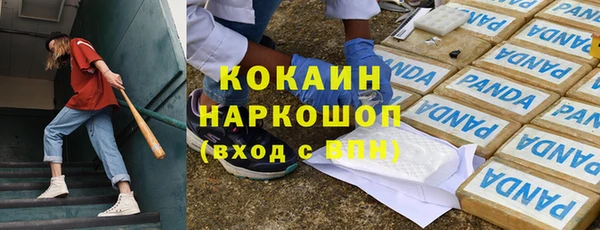 молекула духа Гусев