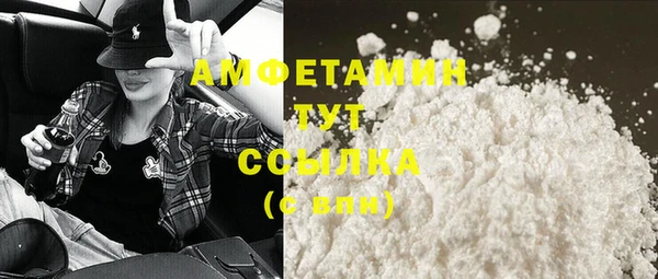 гашик Гусь-Хрустальный