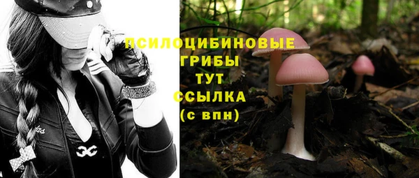 хмурый Гусиноозёрск