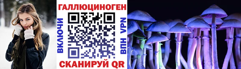 мориарти как зайти  Ефремов  Псилоцибиновые грибы прущие грибы 